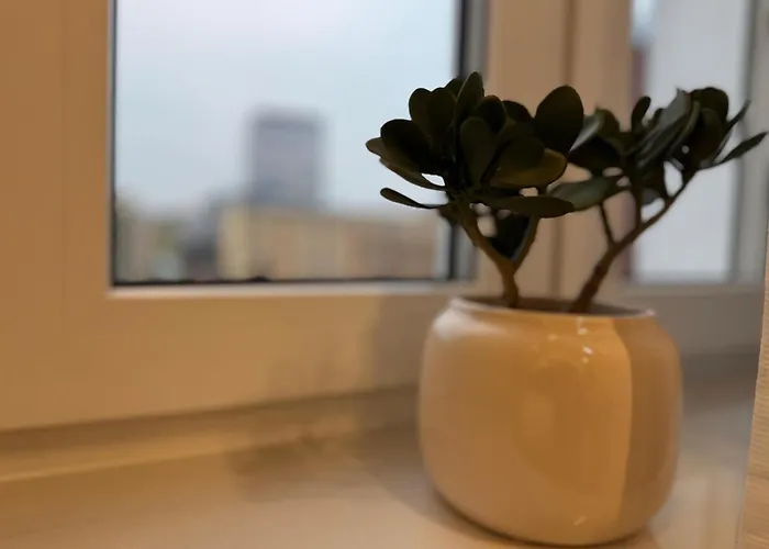 Wyjatkowe Miejsce W Sercu Wroclawia Apartment